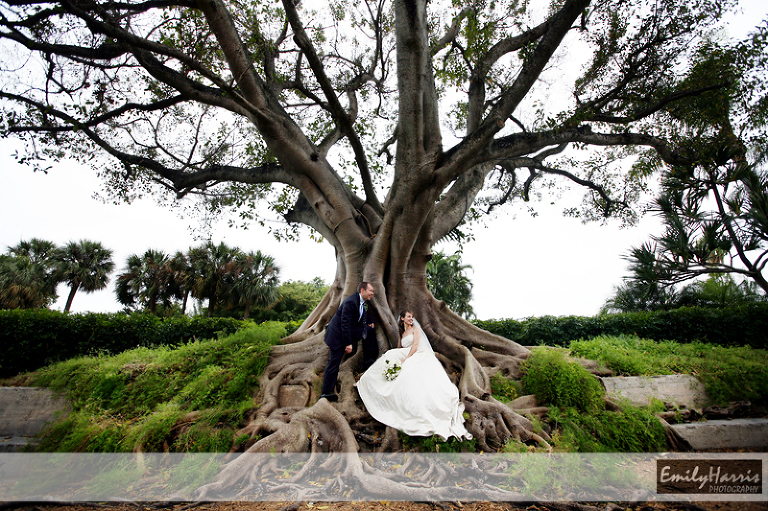 agnes_tree